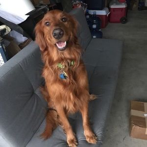 Meet your Posher, Shayla